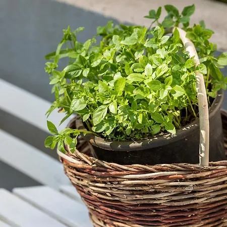 Promenade **** Διαμέρισμα Σπλιτ